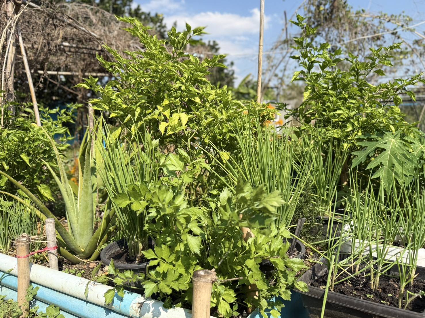 title - ผู้ตรวจราชการ ส.ป.ก. ประชุมตรวจราชการและติดตามความก้าวหน้าผลการดำเนินงานตามแผนการตรวจราชการของผู้ตรวจราชการสำนักงานการปฏิรูปที่ดินเพื่อเกษตรกรรม ประจำปีงบประมาณ พ.ศ. 2569 รอบที่ 1 เขตตรวจราชการที่ 9 จังหวัดปราจีนบุรี